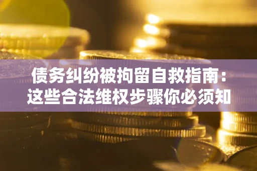济南债务纠纷被拘留自救指南：这些合法维权步骤你必须知道！