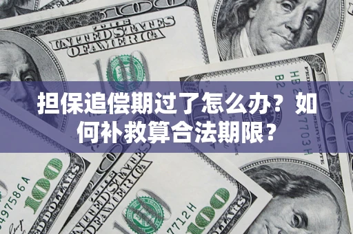 济南担保追偿期过了怎么办？如何补救算合法期限？